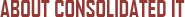 About Consolidated IT