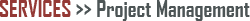 Services - Project Management